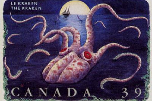 Kraken актуальное