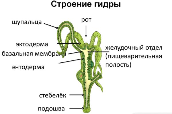 Как найти кракен в торе