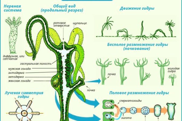 Kraken ссылка зеркало рабочее