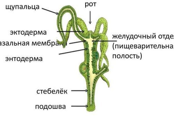 Кракен современный даркнет маркетплейс